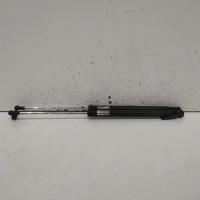 hatch strut