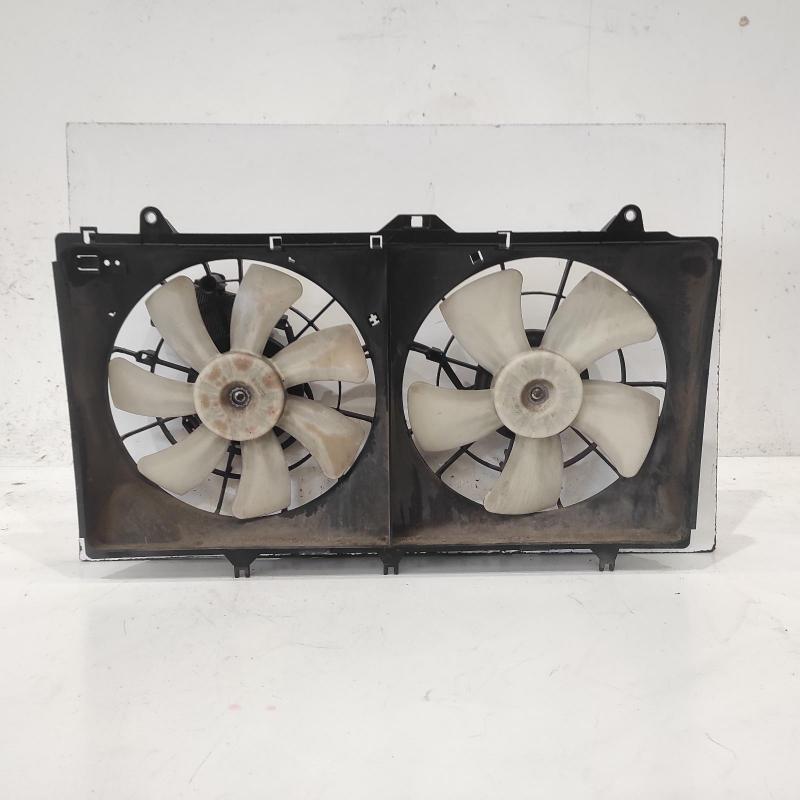 fan