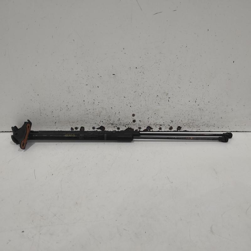hatch strut