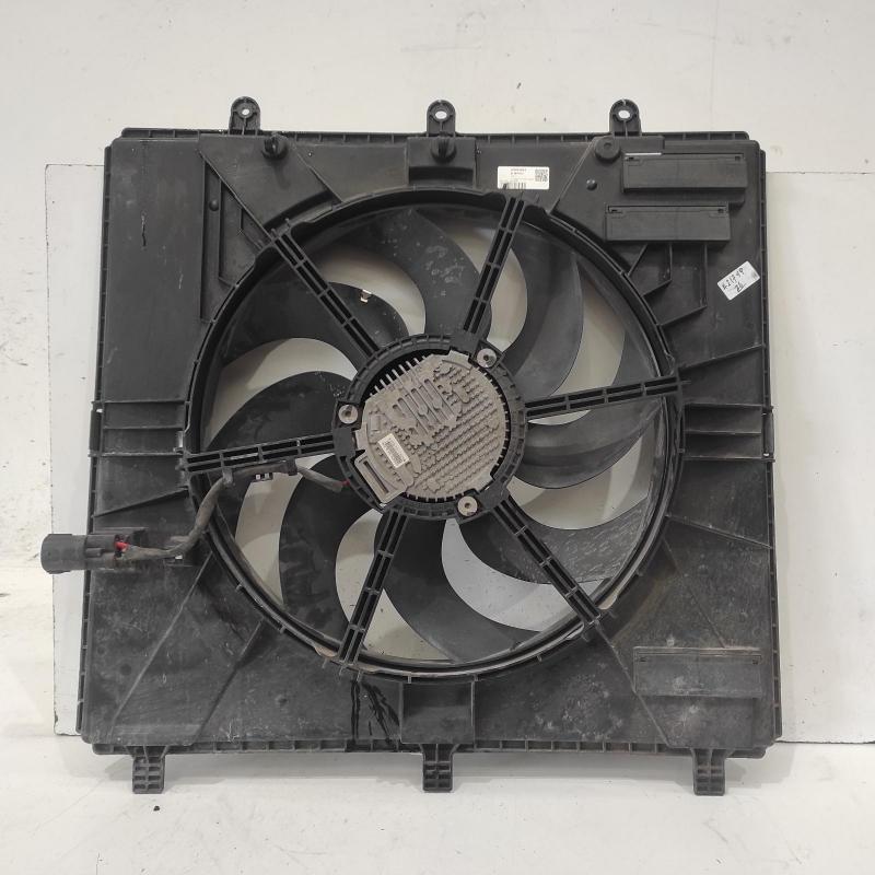 fan