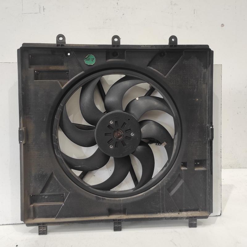 fan