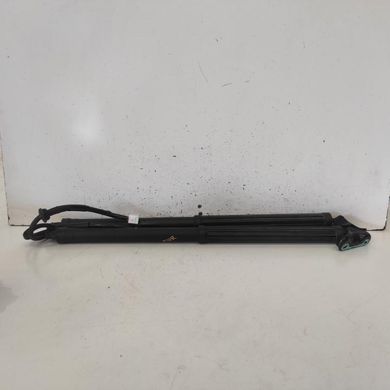 hatch strut