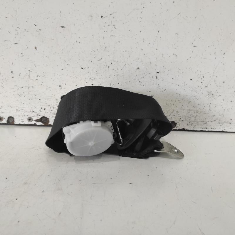 seat belt stalk