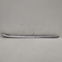 body/door mould