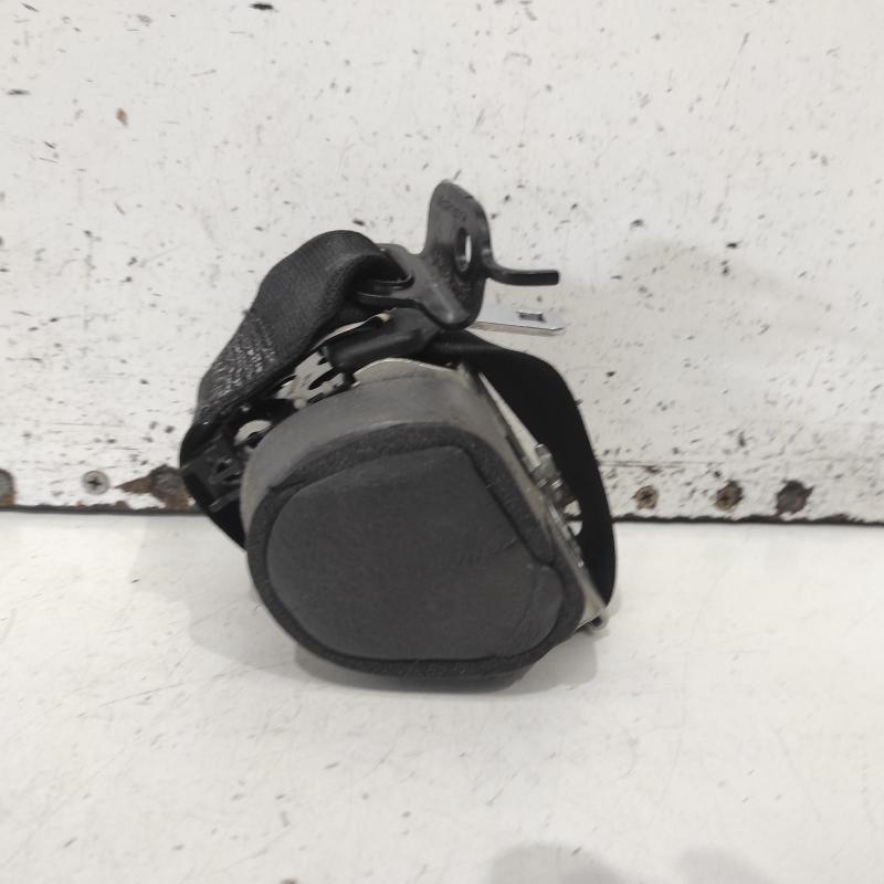 seat belt stalk