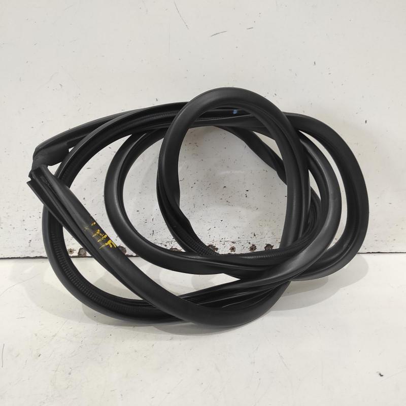 body seal ruber