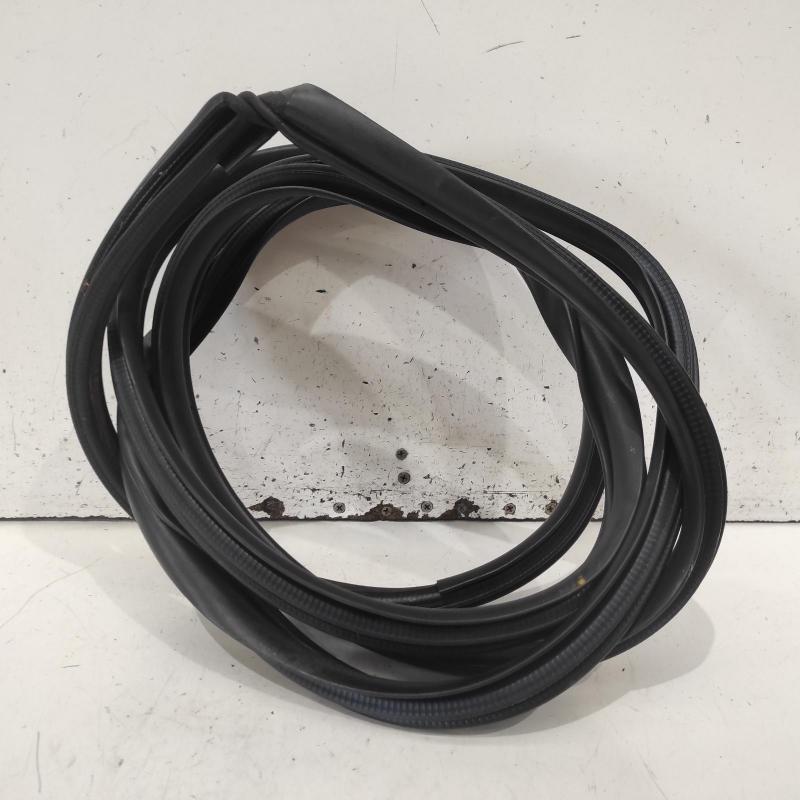 body seal ruber