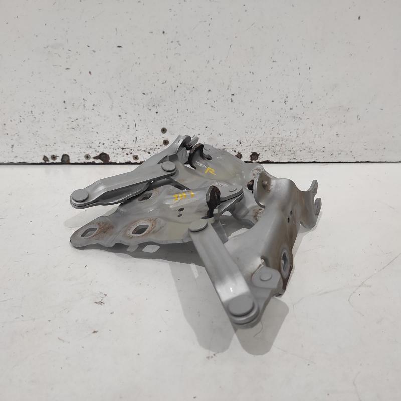 bonnet hinge/strut
