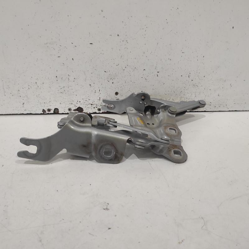 bonnet hinge/strut