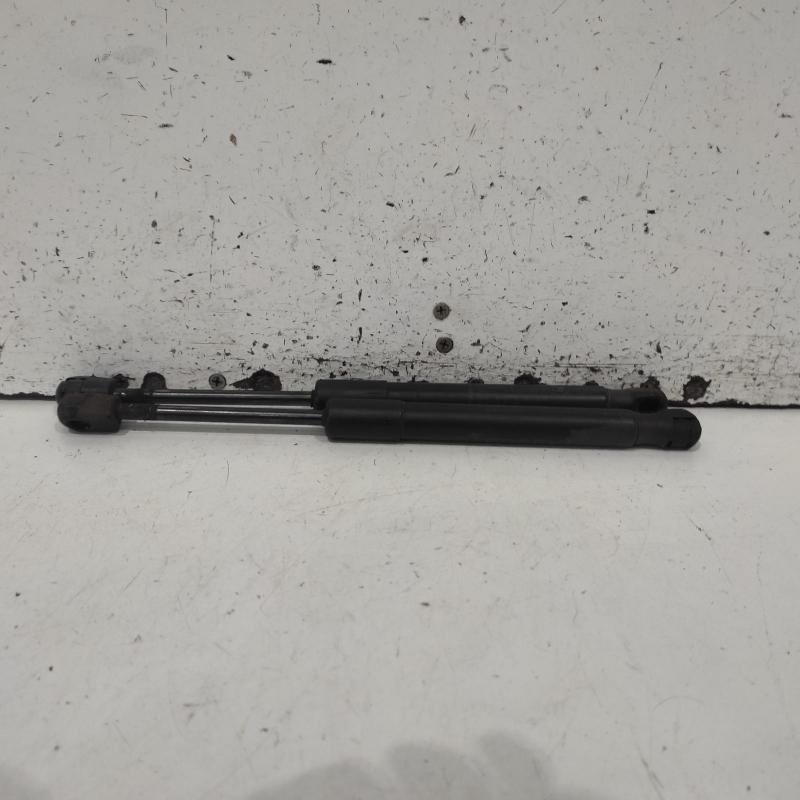 bonnet hinge/strut