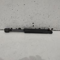 bonnet hinge/strut