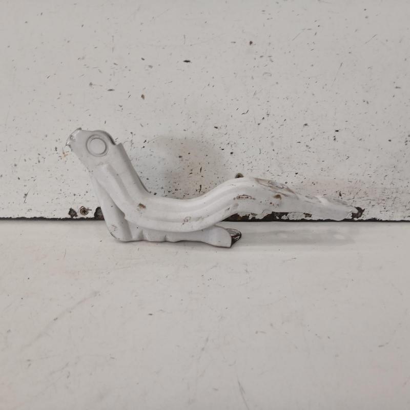 bonnet hinge/strut