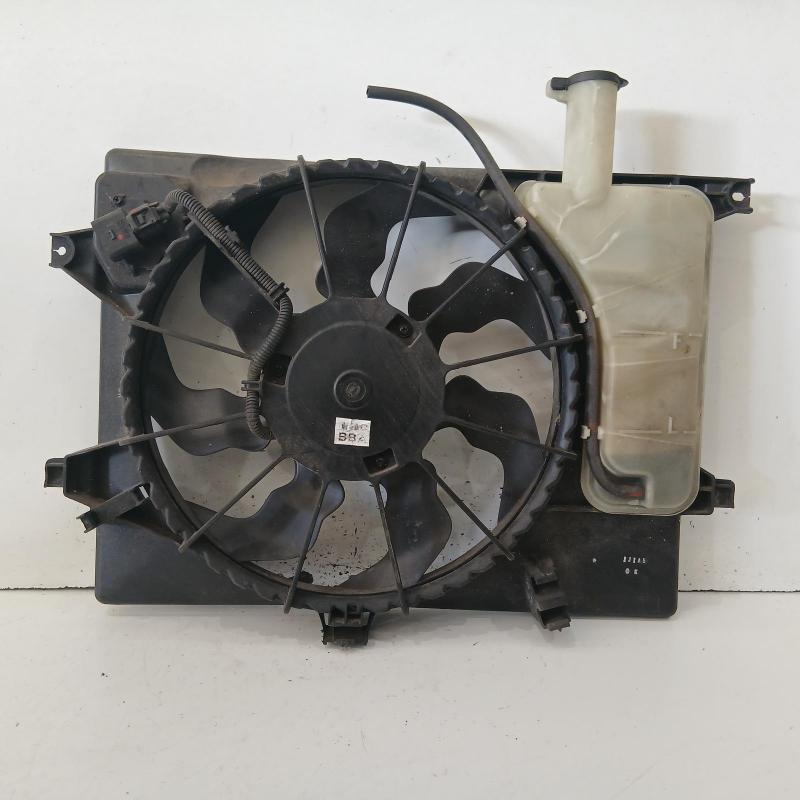 fan