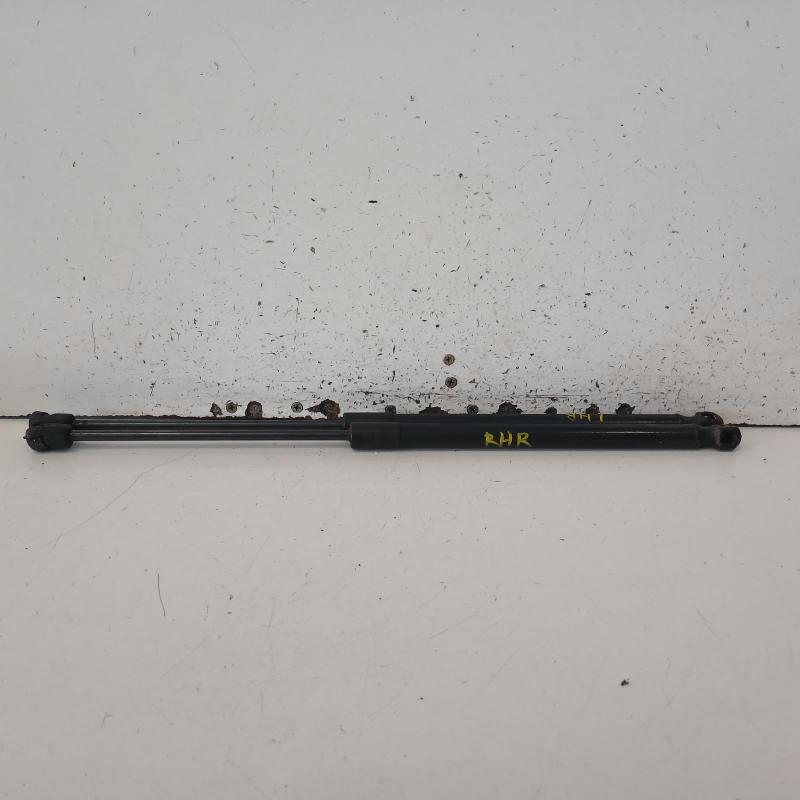 hatch strut
