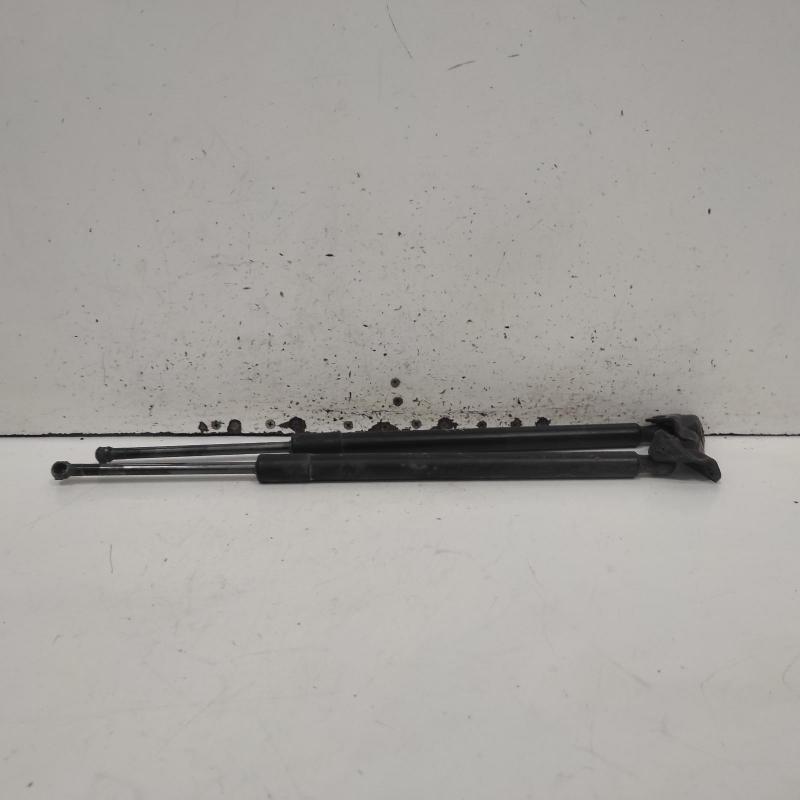 hatch strut