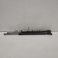 hatch strut
