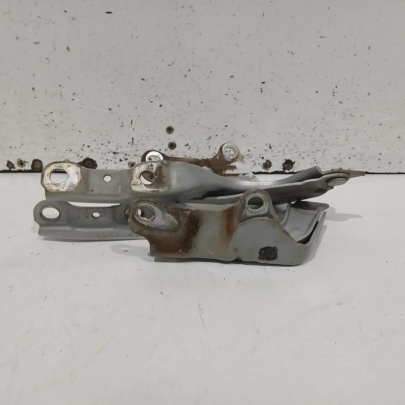 bonnet hinge/strut