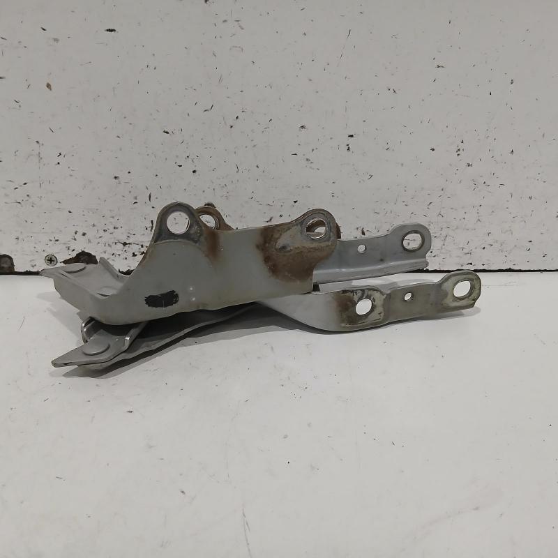 bonnet hinge/strut