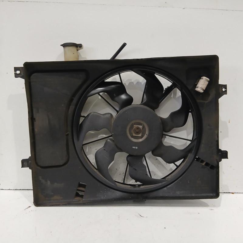 fan