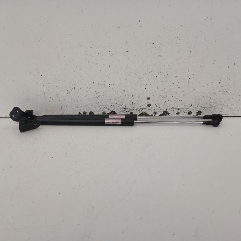bonnet hinge/strut