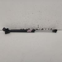 bonnet hinge/strut
