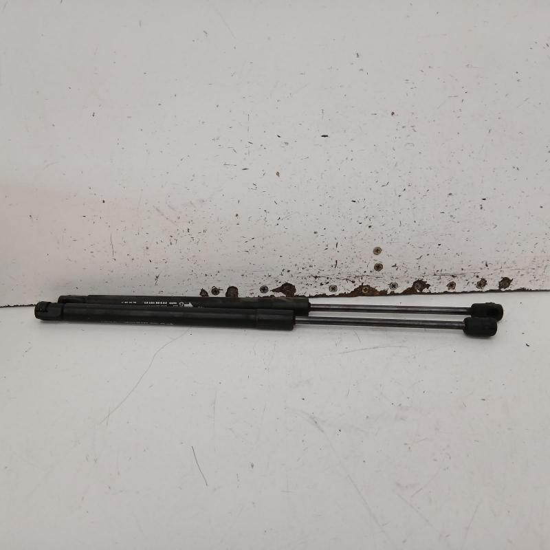 hatch strut