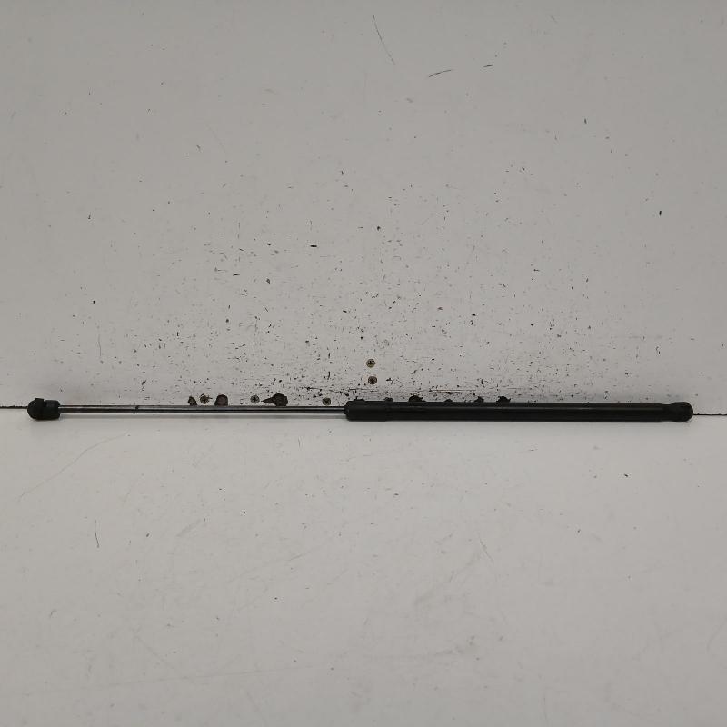 bonnet hinge/strut