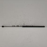 bonnet hinge/strut