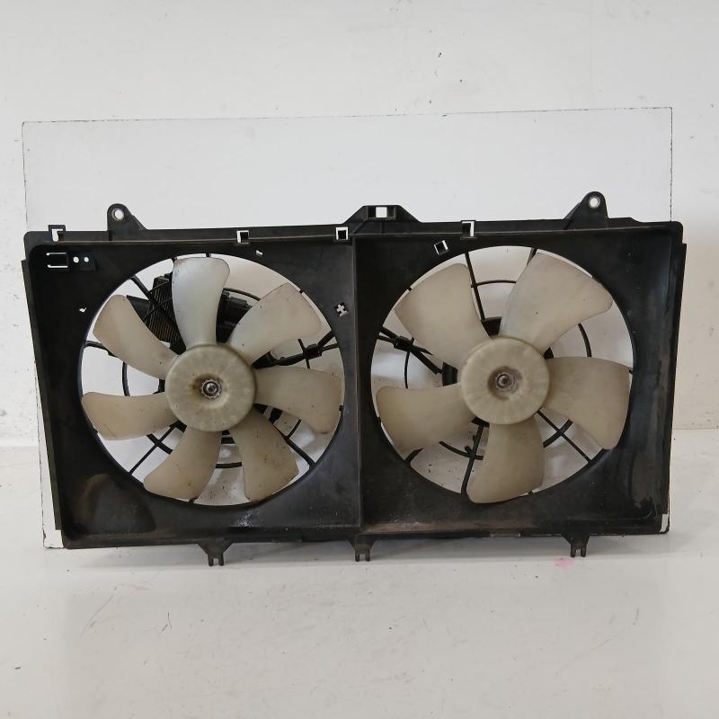 fan