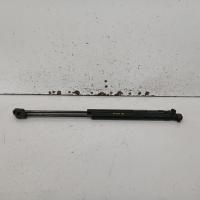 bonnet hinge/strut