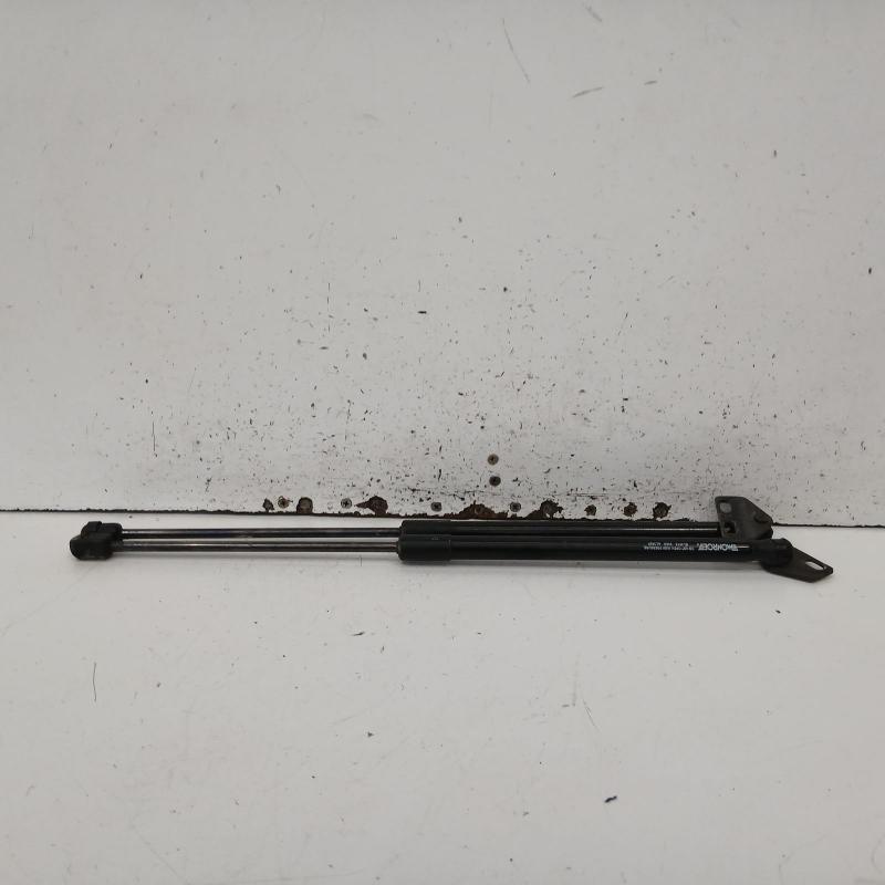 hatch strut