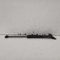 hatch strut