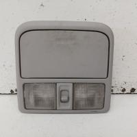 courtesy light