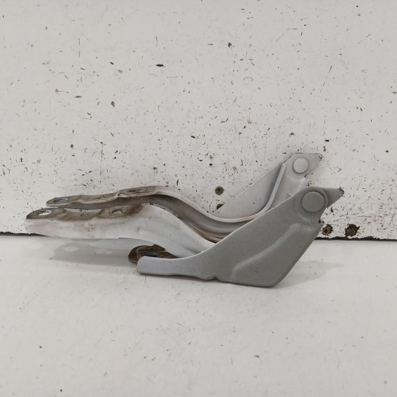 bonnet hinge/strut