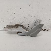 bonnet hinge/strut