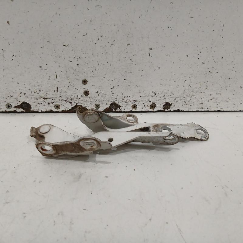 bonnet hinge/strut