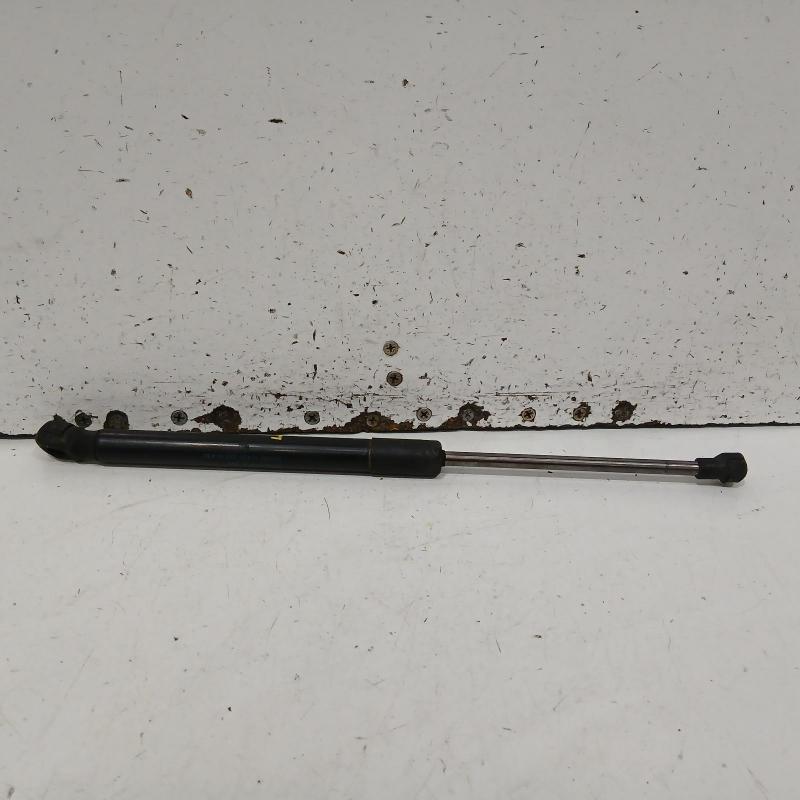 bonnet hinge/strut