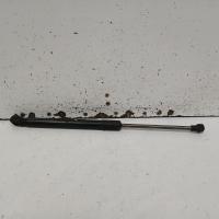 bonnet hinge/strut