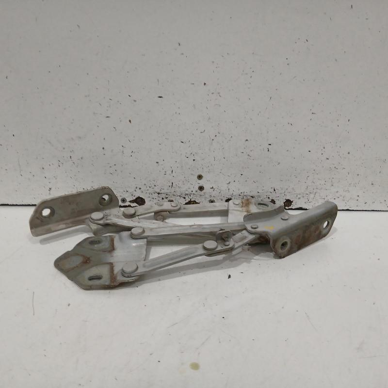 bonnet hinge/strut