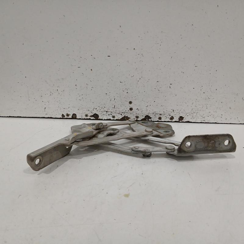 bonnet hinge/strut