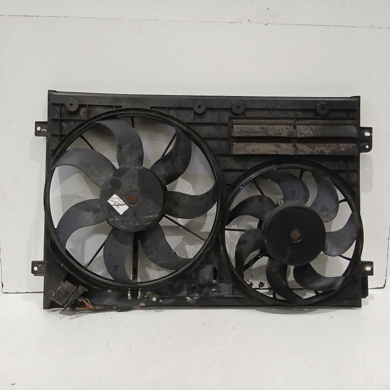 fan