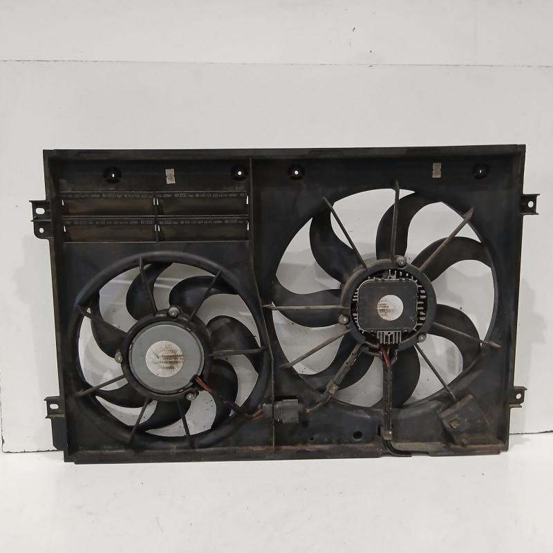 fan