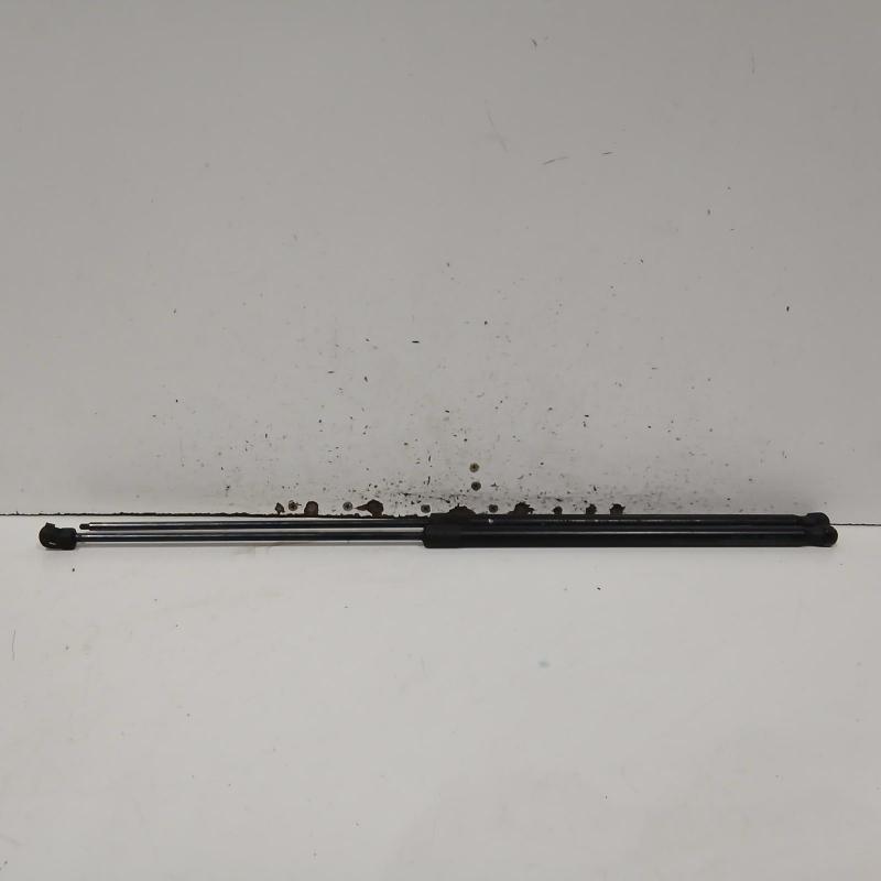 bonnet hinge/strut