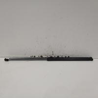 bonnet hinge/strut