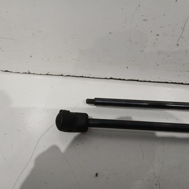 bonnet hinge/strut
