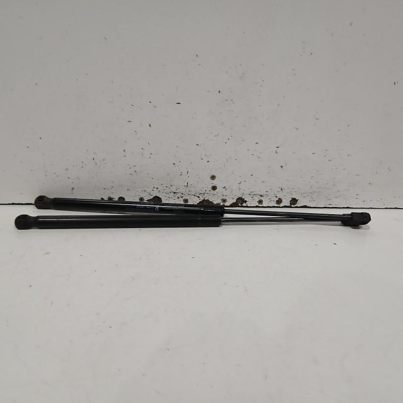 bonnet hinge/strut