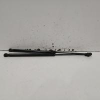 bonnet hinge/strut
