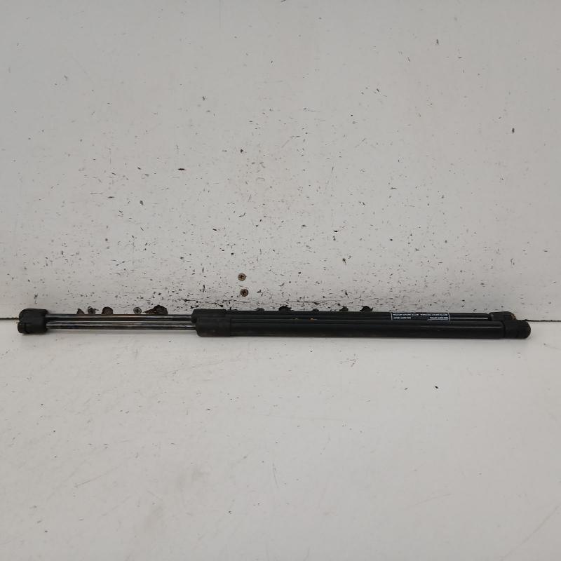 hatch strut