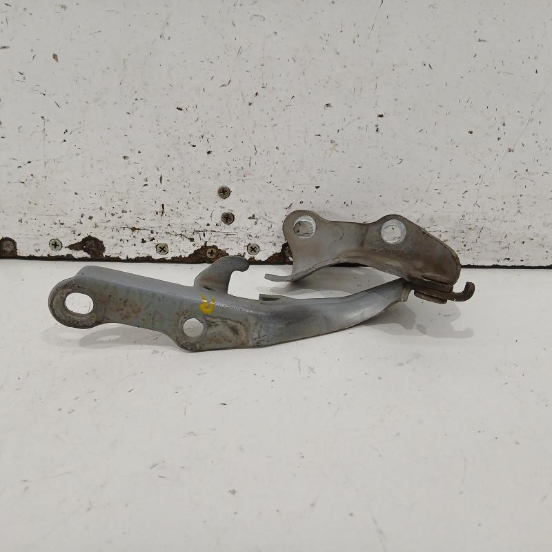 bonnet hinge/strut