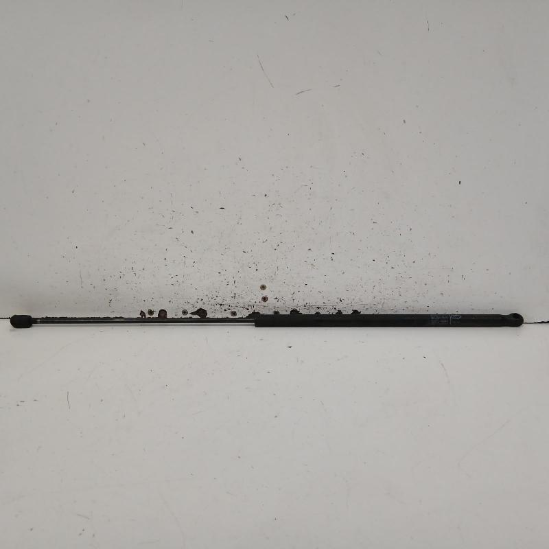 bonnet hinge/strut